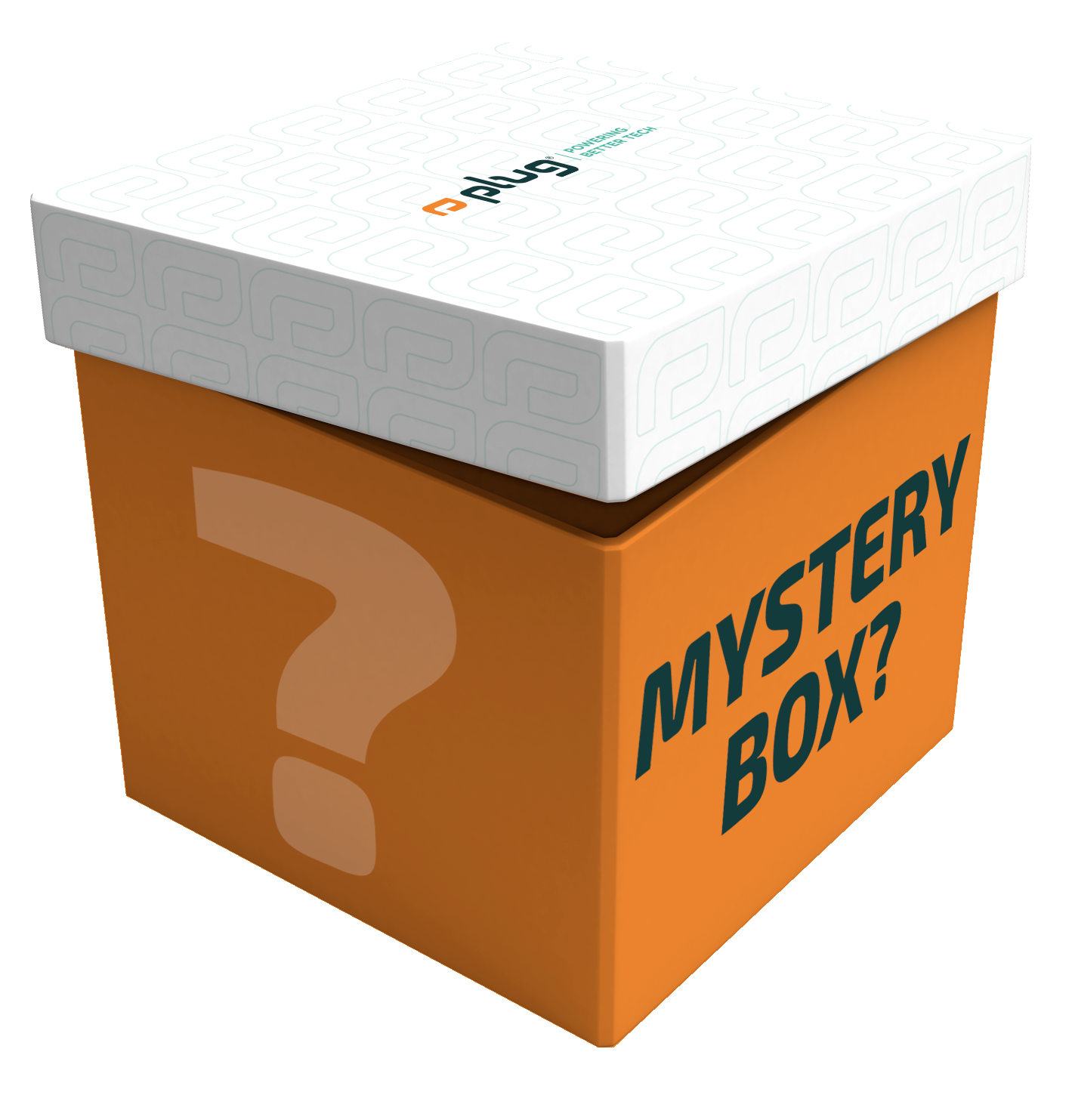 plug Mystery Box