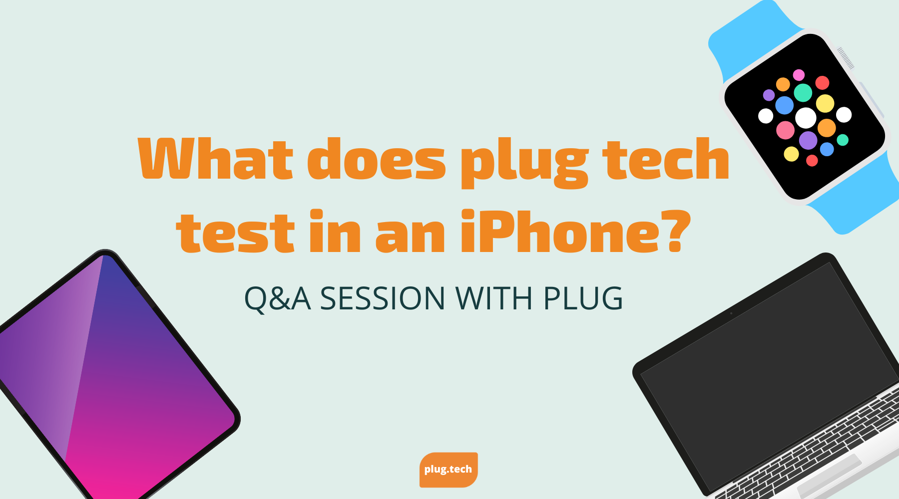 What does plug tech test in an iPhone?