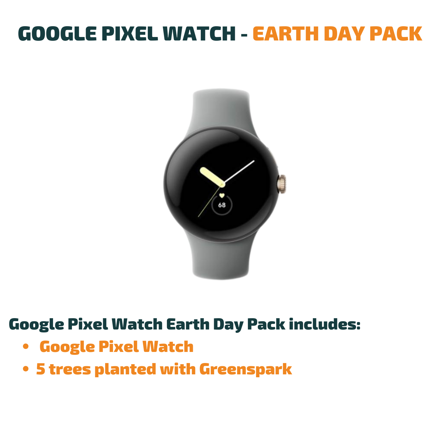 Google Pixel Watch - Earth Day Pack
