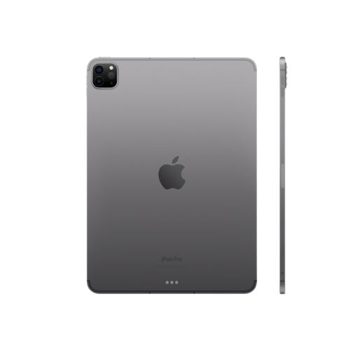 iPad Pro 2022 (11") Space Gray 128GB (Cellular + Wifi)