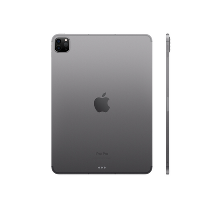 iPad Pro 2022 (11") Gris espacial 256 GB (WiFi + Celular)