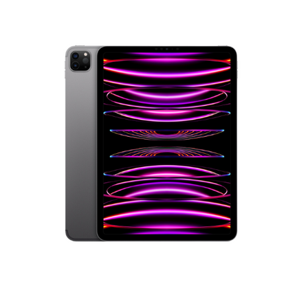 iPad Pro 2022 (11") Gris espacial 256 GB (WiFi + Celular)