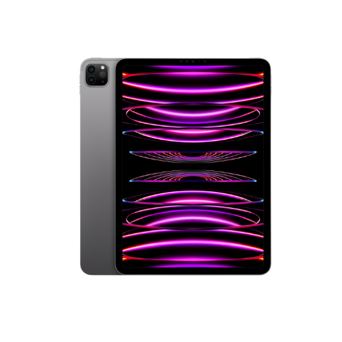 iPad Pro 2022 (12,9") Gris espacial 2TB (WiFi)