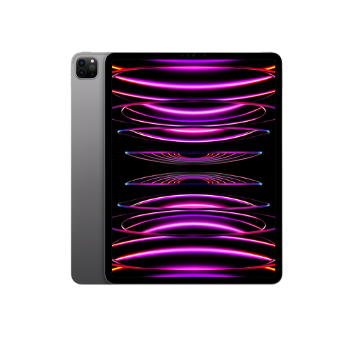 iPad Pro 2020 (12,9") 128 GB Gris espacial (Wifi)