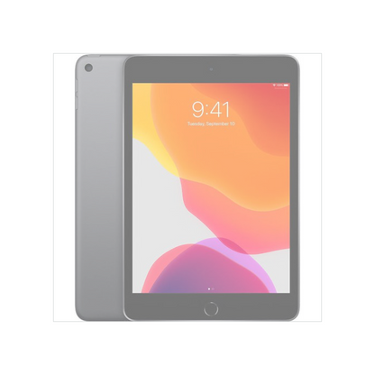 iPad Mini 5 256GB Space Gray (Wifi) - Plug.tech