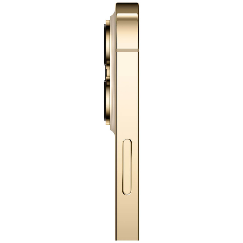 iPhone 13 Pro Max Gold 128GB (Unlocked) - Ecofriendly