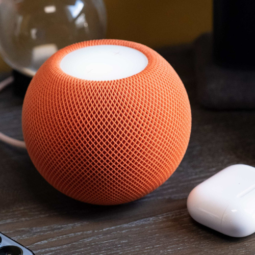 plug Homepod Mini Holiday Pack