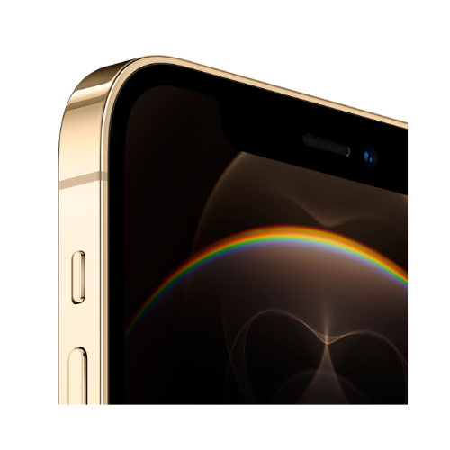 iPhone 12 Pro Max Gold 256GB (Unlocked) - Plug.tech