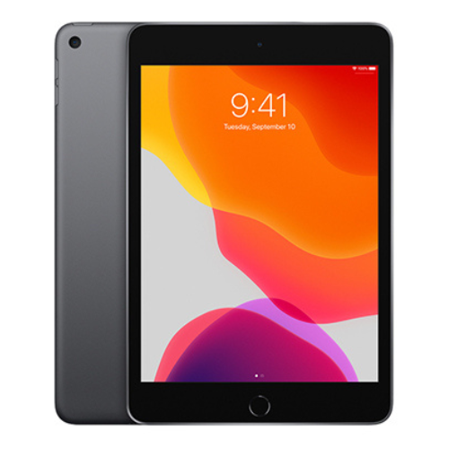 iPad Mini 4 16GB Gris Espacial (Wifi)