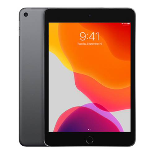 iPad mini (4th Gen, 2015) 16GB - Space Gray (Wi-Fi)