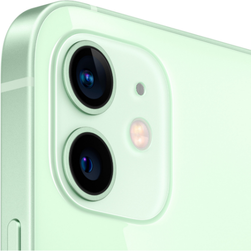 iPhone 12 Mini Green 256GB (Unlocked) - Plug.tech